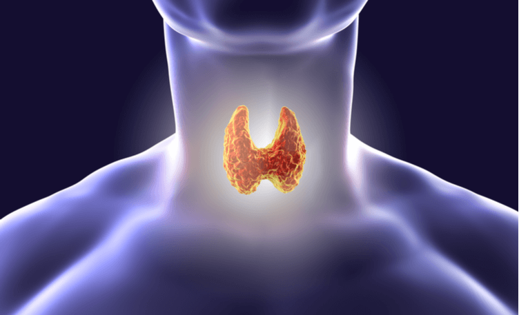 Navigating Thyroid Health